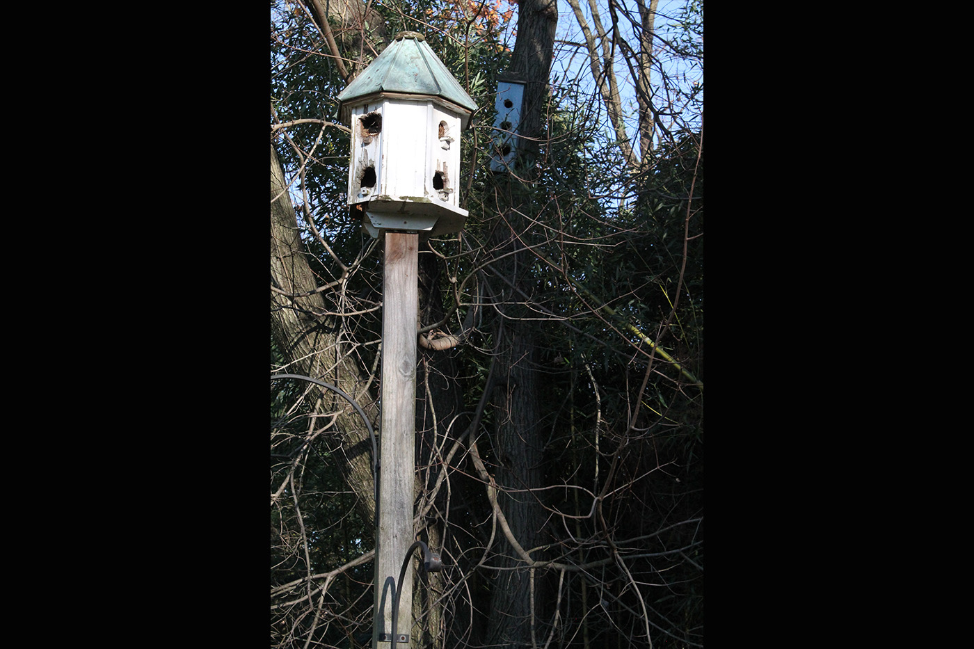 Birdhouse
